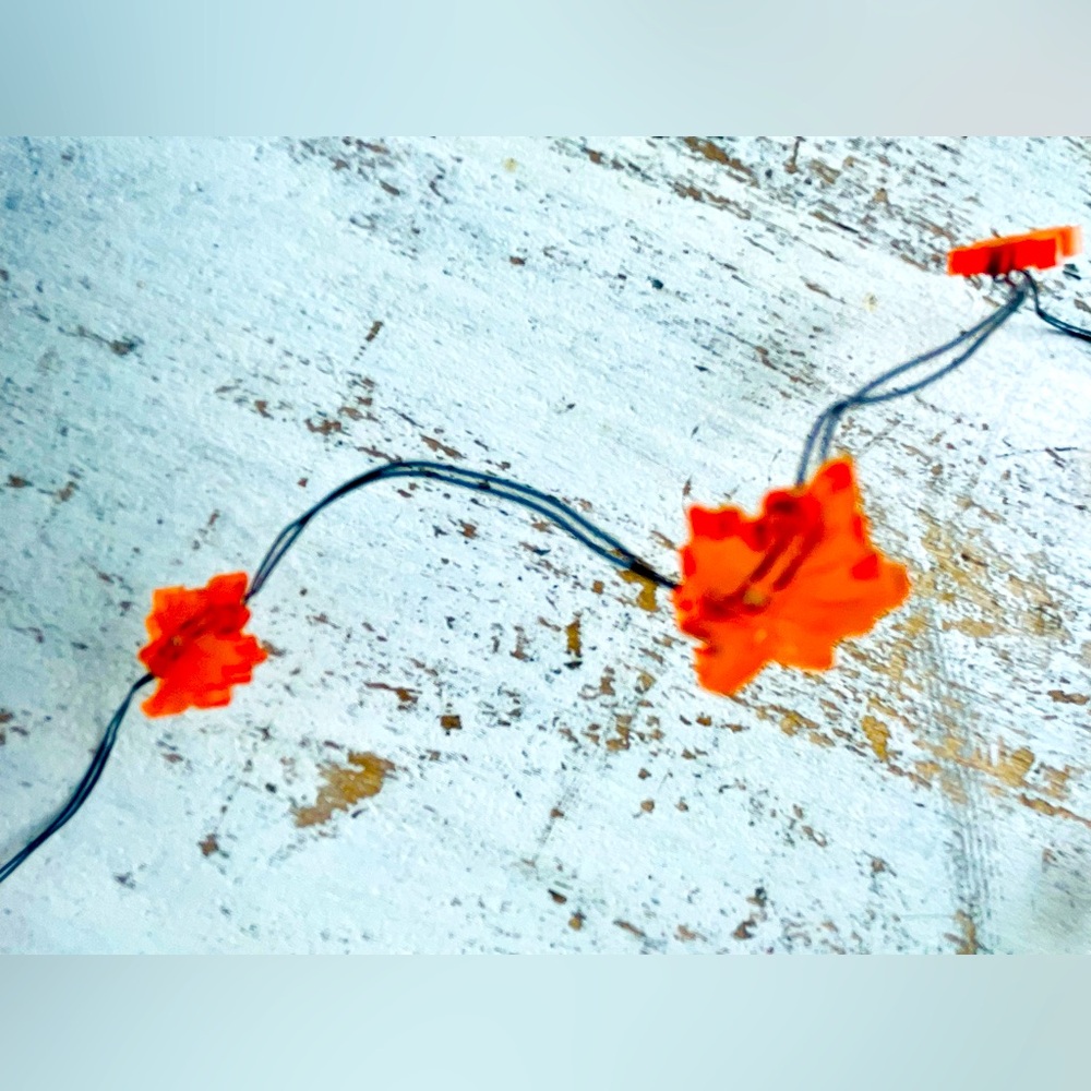 *Leaf Wire Lights With Timer